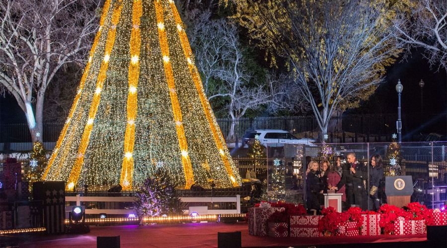 GLP’s X4 atom Boosts National Christmas Tree Switch-on